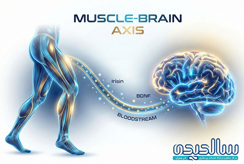 بهترین ورزش برای جلوگیری از آلزایمر